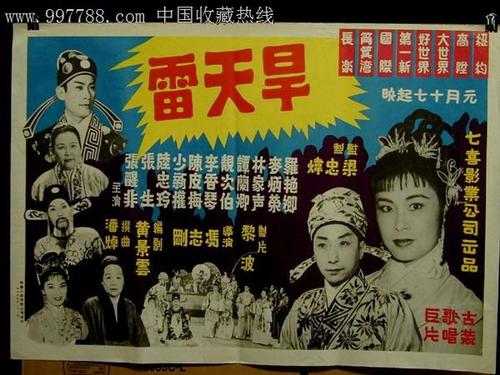 农村不动产证书内容图片的,宗地图